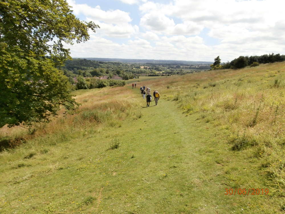 A long walk in the North Downs
