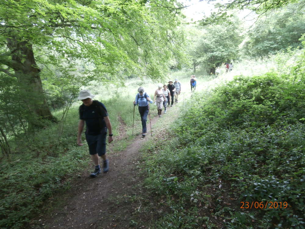 A short walk in the North Downs